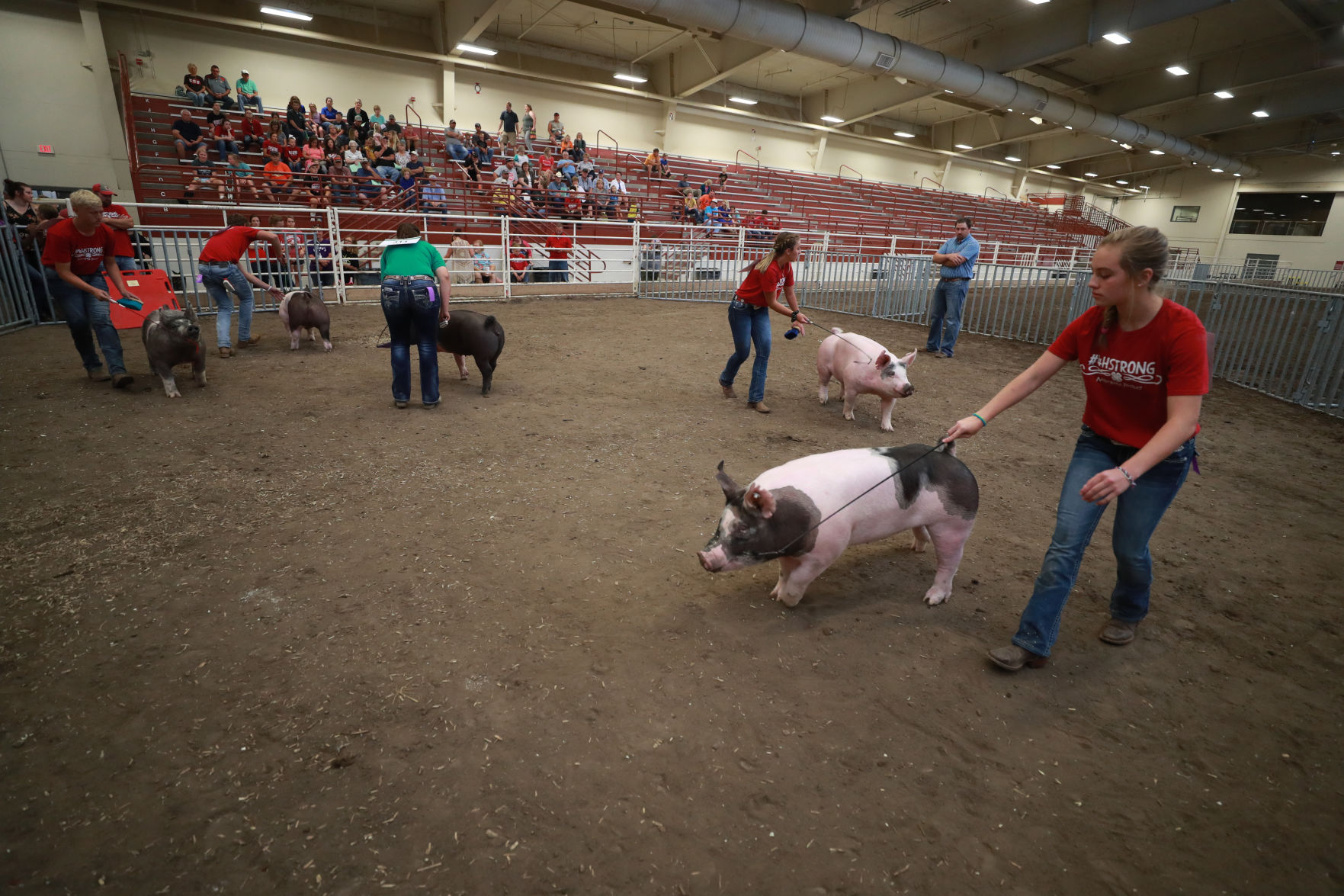 071119_HallCoFair67_bjs.JPG